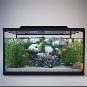 Aquarium